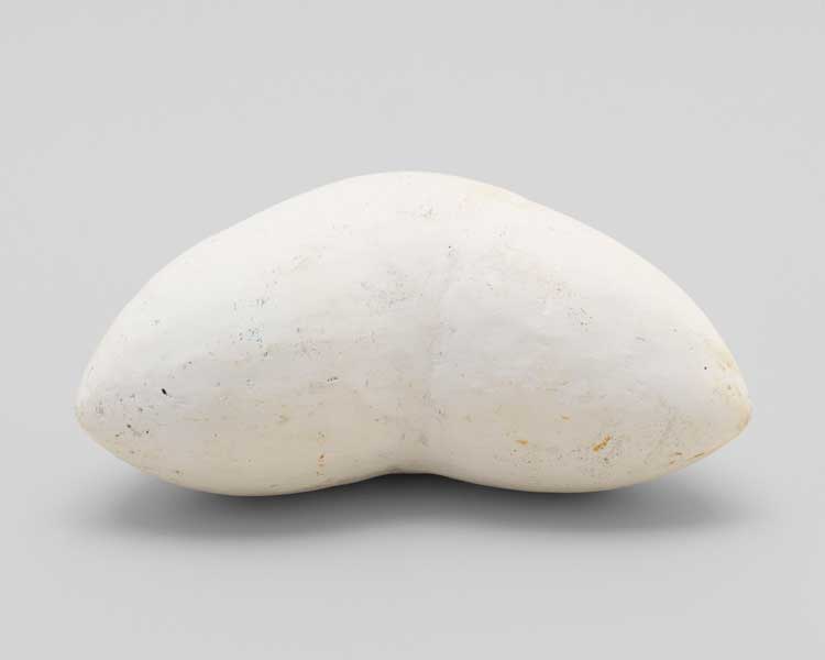 Louise Bourgeois, Tits, 1967. Plaster, 12.1 × 26.7 × 15.2 cm. The Easton Foundation, New York. © The Easton Foundation / VAGA at ARS, NY and DACS, London 2025. Photo: Christopher Burke.
