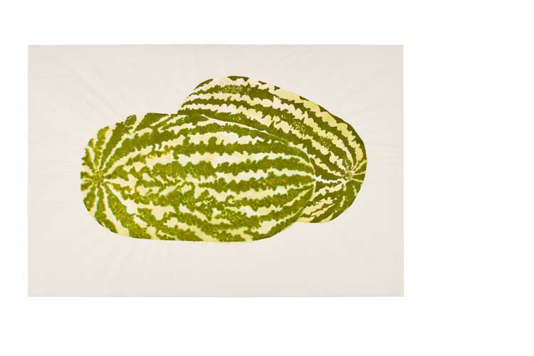 Ruth Asawa. Untitled (Two Watermelons), 1960s. Ink on technical paper, 20 x 30in (50.8 x 76.2 cm). Glenstone Museum, Potomac, Maryland.