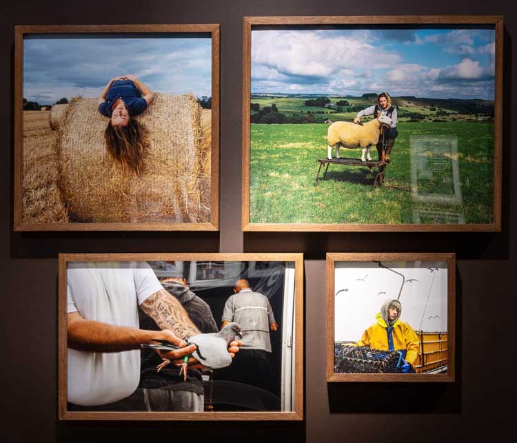 Works by Joanna Coates, installation view, After The End of History. Photo: Anna Lukala, courtesy the Artist, Focal Point Gallery and Hayward Gallery Touring.