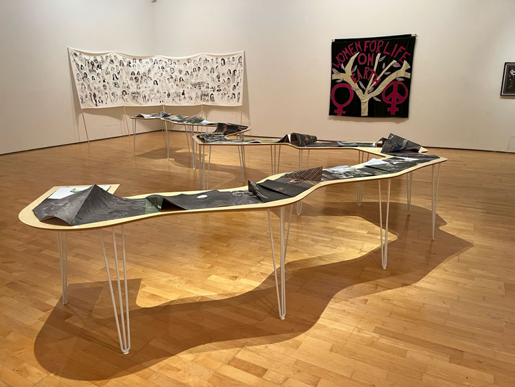 Carolina Caycedo, installation view, Artes Mundi 10, Oriel Davies Gallery, Newtown. Photo: Martin Kennedy.