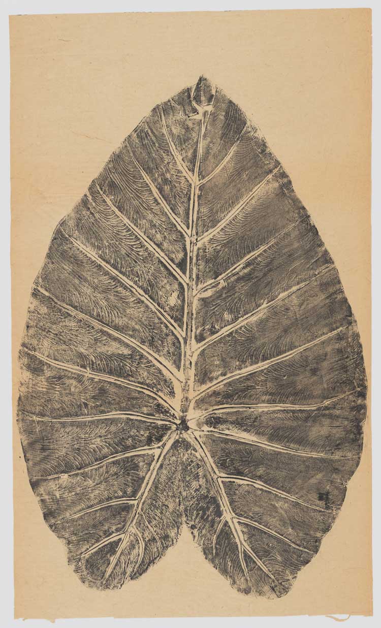Ruth Asawa, Untitled (Leaf from the Sacramento Delta), c. early 1990s. Ink on Japanese paper, 43 1/8 × 25 11/16 in (109.5 × 65.3 cm). Courtesy the Department of Special Collections, Stanford University Libraries. Artwork © 2023 Ruth Asawa Lanier, Inc./Artists Rights Society (ARS), New York. Courtesy David Zwirner.