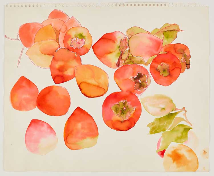 Ruth Asawa, Untitled (WC.252, Persimmons), c1970s–80s. Watercolour on paper, 14 × 17 in (35.6 × 43.2 cm). Private collection. Artwork © 2023 Ruth Asawa Lanier, Inc. / Artists Rights Society (ARS), New York. Courtesy David Zwirner.
