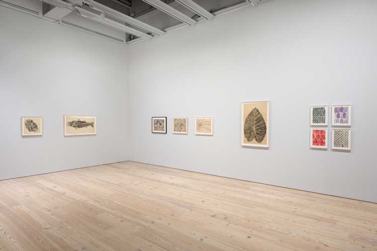 Installation view, Ruth Asawa: Through Line, Whitney Museum of American Art, New York, 16 September 2023 – January 2024. Photo: Filip Wolak.