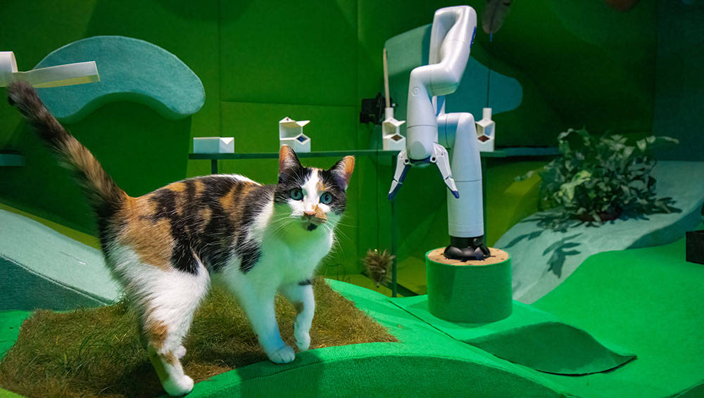 Cat Royale by Blast Theory. Photo: Stephen Daly. Science Gallery London. King’s College London, 21 June 2023 – 20 January 2024. © George Torode.