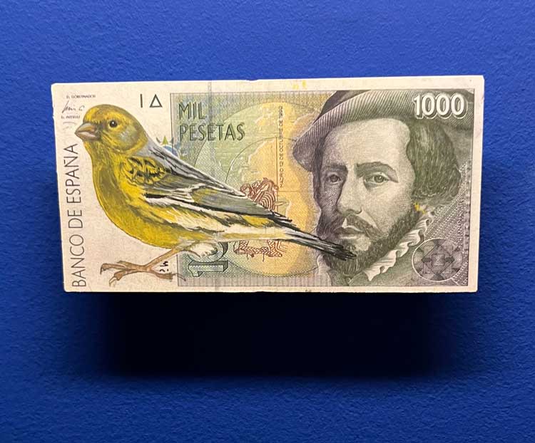 Hanna von Goeler. Atlantic Canary on defunct Spanish pesetas, from Migration series, 2016-2023. Photo: Veronica Simpson.