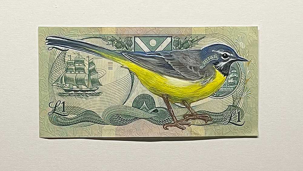 Hanna von Goeler. Grey Wagtail, Motacilla Cinerea, 2023 on defunct Bank of Scotland note. Photo: Veronica Simpson.