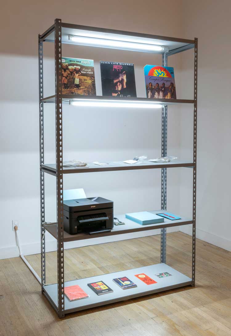 Lizania Cruz. Evidence Shelf, Investigation of Dominican Racial Imaginary, 2022. 48 x 18 x 8 in. Courtesy of the artist. Photo: Adam Reich.
