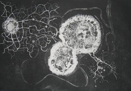 Susan Aldworth. Birth of a Thought, 2007. Etching and aquatint, 35 x 50 cm