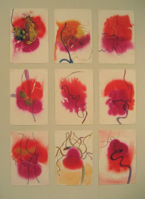 Susan Aldworth. Between Function and Structure, 2001. Acrylic inks and graphite on paper, 37.5 x 28 cm each (installation shot from ‘Scribing the Soul’ at Transition Gallery)