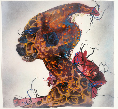 Wangechi Mutu. Blue Rose, 2007.
Ink, paint, mixed media, plant material and plastic pearls on Mylar
, 58.4 x 55.9 cm
. Courtesy the artist and Victoria Miro, London.
© Wangechi Mutu.