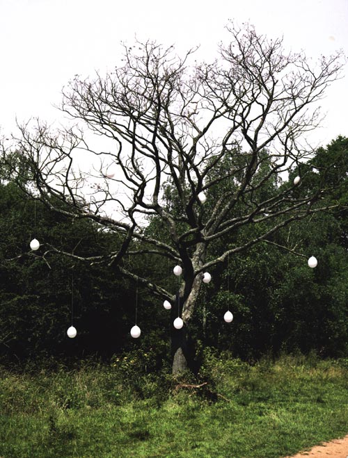 Axel Antas, Tree Structure (Unbearable lightness), 2006