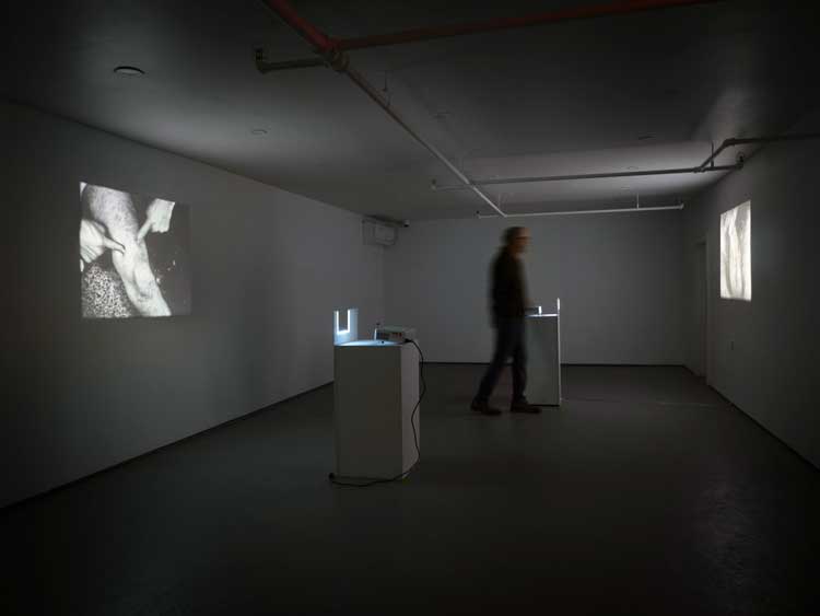Bruce Nauman, Thighing (Blue),1967 and Bouncing Balls, 1969, courtesy Electronic Arts Intermix, (EAI), New York. Installation view, Bellmer Nauman Pondick: Material Desire, Nunu Fine Art, New York, 6 March – 30 May 2026. Photo: Martin Seck, courtesy Nunu Fine Art, New York / Taipei.