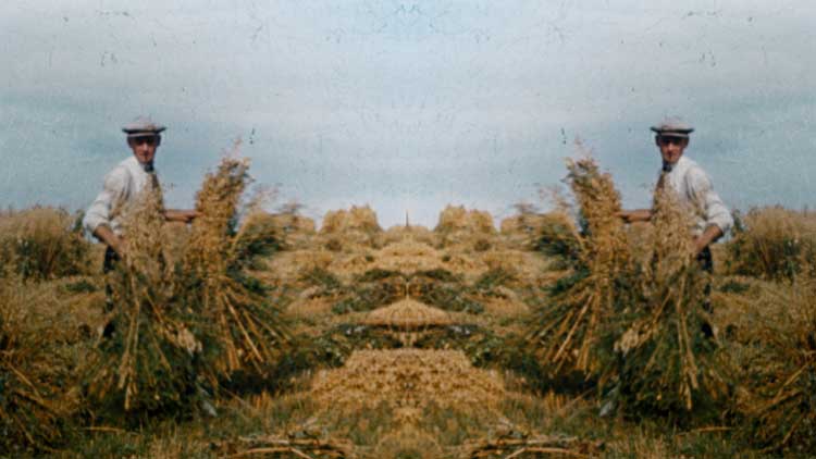 David Blandy, Soil, Sinew and Bone, 2022, film still. © the Artist. Images courtesy of Screen Archive South East.