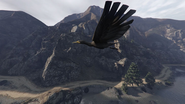 David Blandy. How to Fly, 2020 (still). Digital video. © the artist.