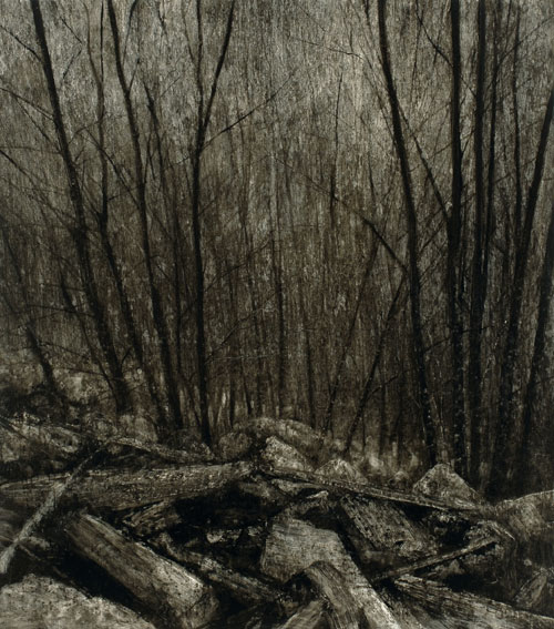 Nicholas Blowers. Boulders descending through trees, 2007. Oil on paper, 104 x 92 cm