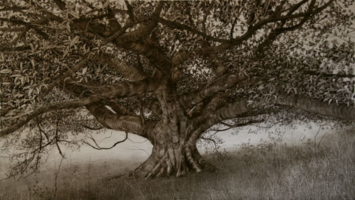 Nicholas Blowers. Fig in long grass, 2006. Oil on paper, 56 x 99.5 cm
