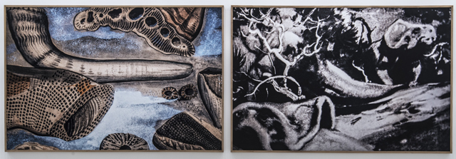 Sofia Borges. The Analogy, 2013. Dyptich, 150 x 450 cm. The Swamp (MACK, 2016).