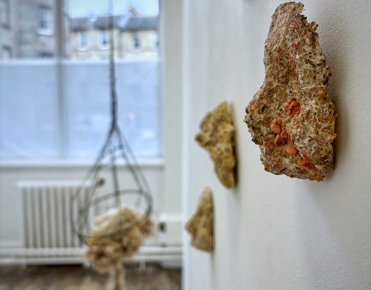 Eilidh Appletree, installation view, Net Worthy, part of Catalyst: Art as Activism, Summerhall Arts, Edinburgh, 31 January – 29 March 2026. Courtesy of the artist.