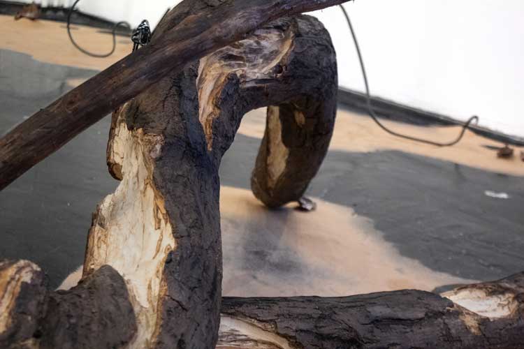 Molly Wickett, installation view, All Day, Waiting for Another Sun to Rise (detail). Carved and torched alder, steel chain and sand. Part of Catalyst: Art as Activism, Corner Gallery, Summerhall Arts, Edinburgh, 31 January – 29 March 2026. Courtesy of the artist.