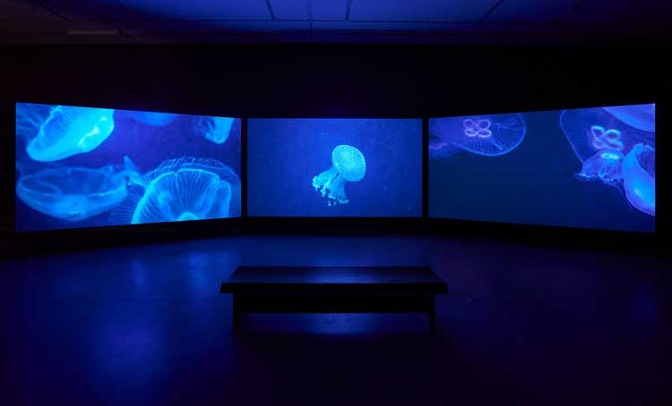 Emma Critchley: Soundings. Installation view, John Hansard Gallery, 2025. Courtesy the artist. Photo: Reece Straw.