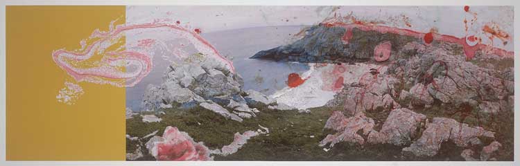 Helen Chadwick, Viral Landscape No.2, 1988-9. Courtesy National Museums Liverpool, Walker Art
Gallery. © Estate of Helen hadwick.