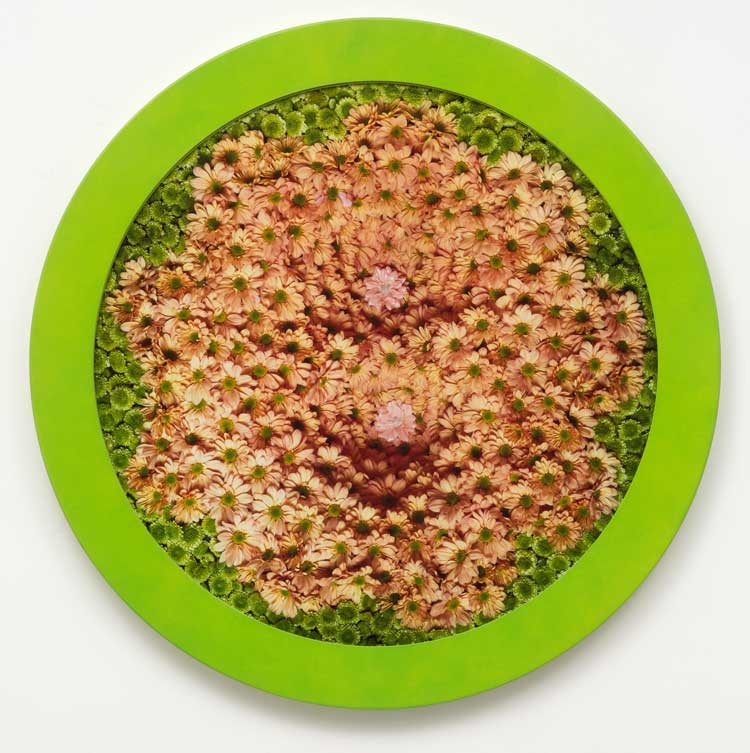Helen Chadwick, Wreath to Pleasure, No. 6 (Chrysanthemums, Angel Delight). © Estate of Helen Chadwick. Photo courtesy Richard Saltoun Gallery, London, Rome and New York.