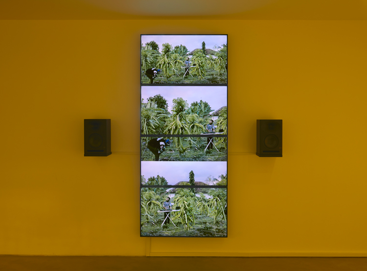 Kent Chan, Future Tropics, 2023. Exhibition view. Commissioned and produced by Gasworks. Photo: Andy Keate.