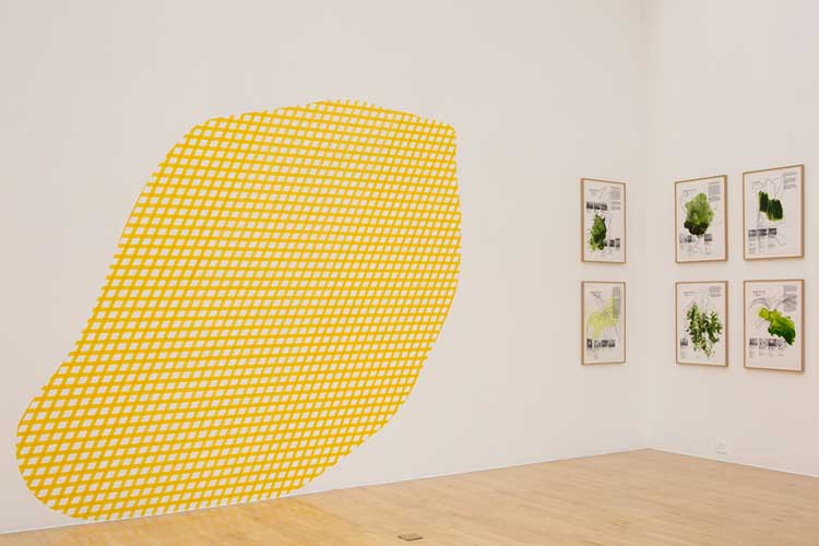 From left to right: Céline Condorelli, Untitled (Caveman Holes), 2017, masking tape; Plant Studies, 2018 Wax print on drafting film, stained with watercolour and acrylic ink. Installation view, Céline Condorelli: After Work, Talbot Rice Gallery, University of Edinburgh. Courtesy the artist and Talbot Rice Gallery. Photo: Sally Jubb.