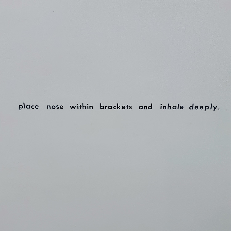 Tomás Cunha Ferreira. ShipShape, 2019. Photo: Ana Duarte.