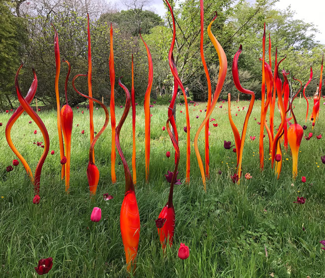 Dale Chihuly. Neodymium Reeds and Turquoise Marlins, blown glass, (date not specified). Royal Botanic Gardens, Kew, London 2019. Photo: Anna McNay.