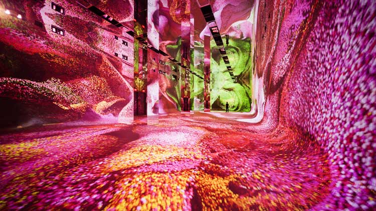 Installation view of Machine Dreams: Rainforest, Dataland, Los Angeles, June 20, 2026 – January 31, 2027. © 2026 Refik Anadol Studio on behalf of Dataland. Photo: Refik Anadol Studio.