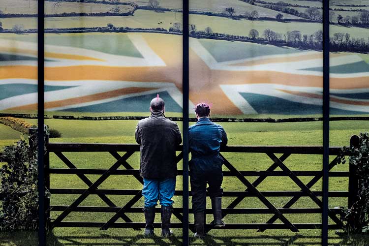 Merlin Daleman. The window of a supermarket advertising British produce in Morecambe, November 2019.