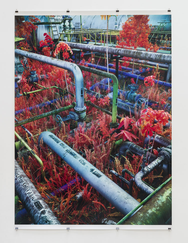 Installation view of Richard Mosse, Dear Earth: Art and Hope in a Time of Crisis (21 Jun – 3 Sep 2023). Photo: Mark Blower. Courtesy the Hayward Gallery.