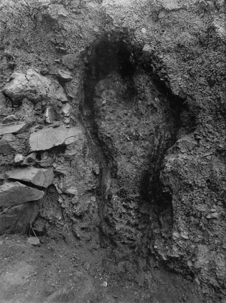 Ana Mendieta, Untitled, from the Silueta Series, 1980. Gelatin, silver paint.