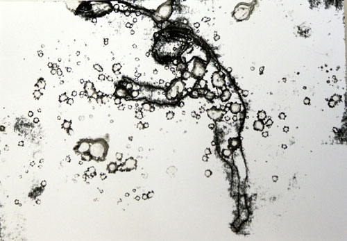 Tom de Freston. Floater, 2009. Monoprint on paper, 30 x 23 cm.