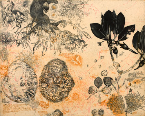 Jörg Schmeisser. Mangrove and Notes, 2010. Etching, 50 x 62 cm. Photo: Peter Eve. Image courtesy of Nomad Art Darwin.