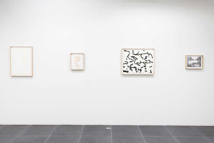 Installation view, Garth Evans: A Place in the World, Fundación Calosa, Irapuato, Mexico, 2024. Photo: Iván Rmz.