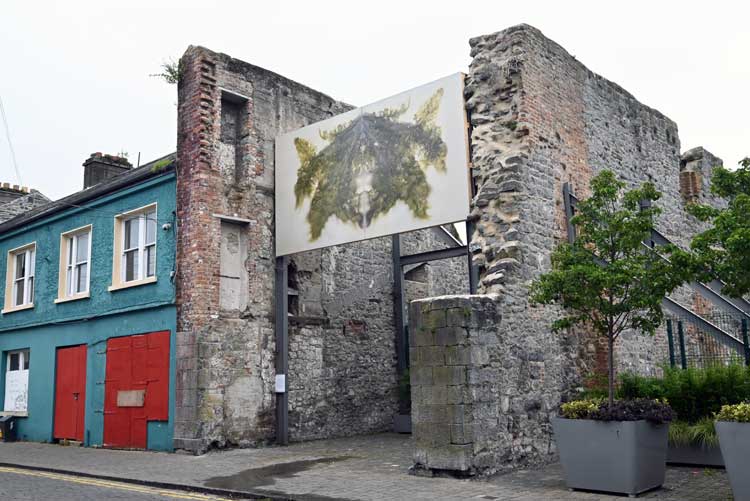 Clodagh Emoe, Reflections on a City Lot, 2023. Image courtesy EVA International.