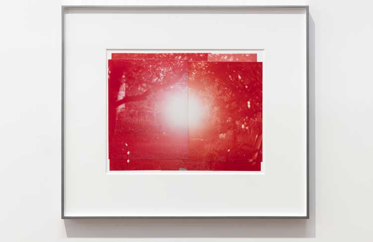 Nat Faulkner, Moth-catcher, 2026. Chromogenic print, sellotape, aluminium frame. Installation view, Nat Faulkner: Strong water, Camden Art Centre, London. Courtesy of the artist and Brunette Coleman. Photo: Rob Harris.