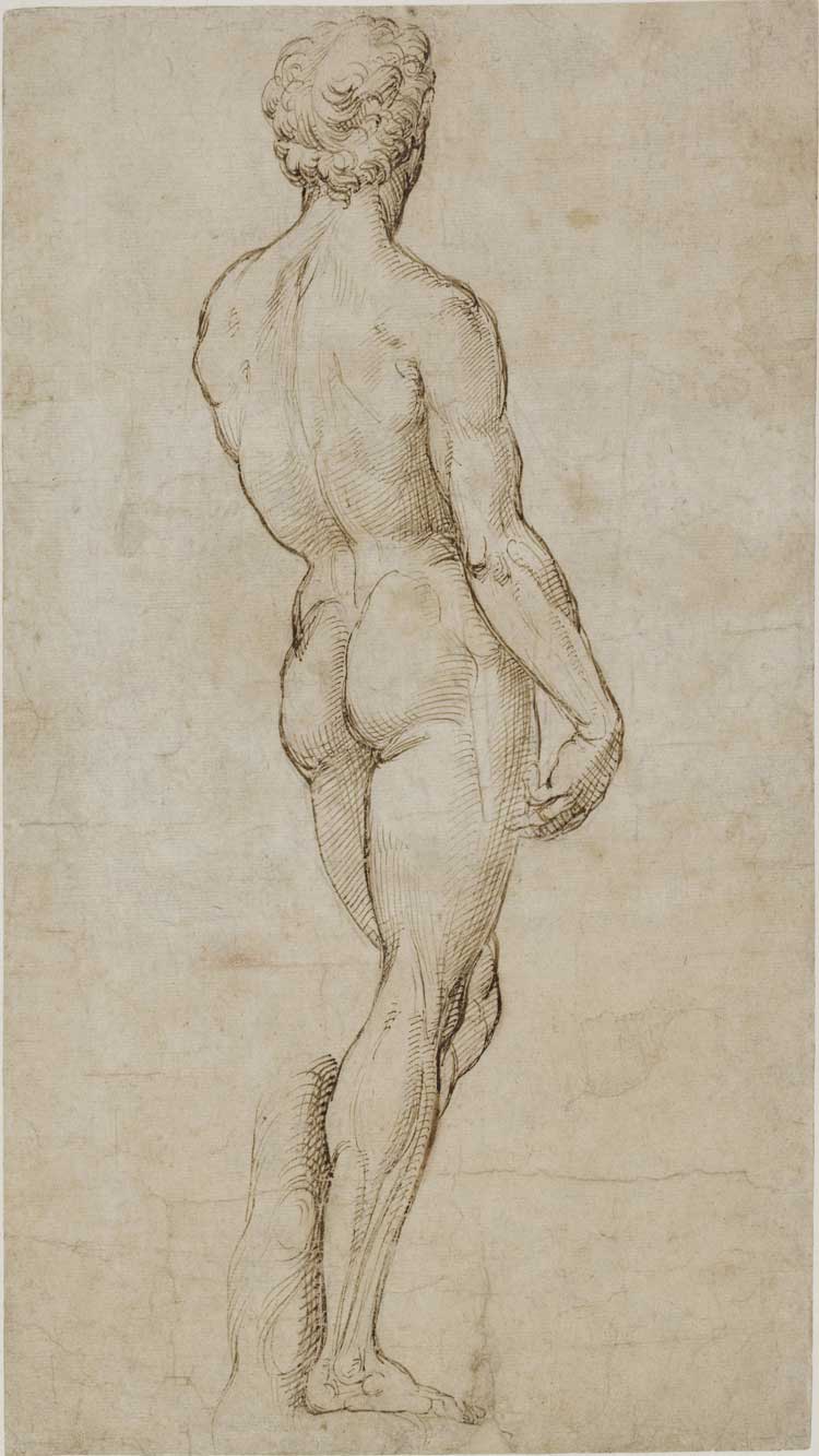 Raphael, after Michelangelo Buonarroti, David, c1505-08. Pen and brown ink on paper, 39.6 x 21.9 cm. © The Trustees of the British Museum.
