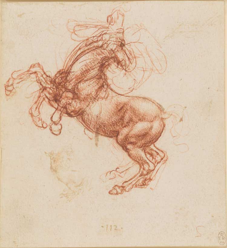Leonardo da Vinci, A Rearing Horse, c1503-05. Red chalk on paper, 15.3 x 14.2 cm. © Royal Collection Enterprises Limited 2024 | Royal Collection Trust.