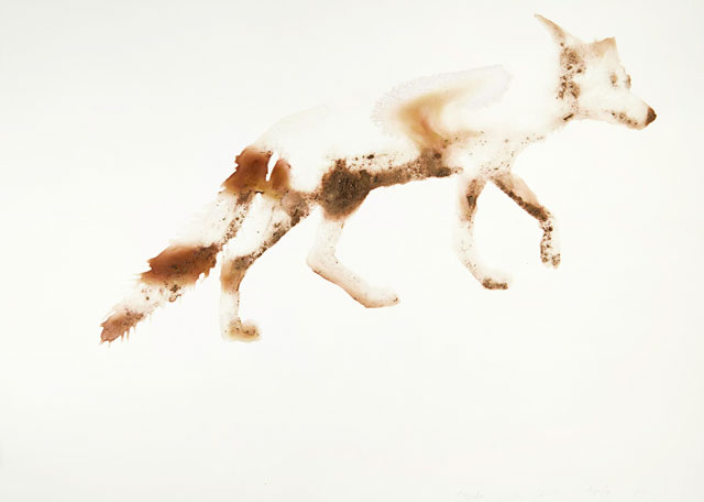 Alexis Rockman. Coyote, New Mexico Field Drawings, 2017. Organic material, acrylic polymer on paper,
76 drawings, dimensions variable. Courtesy of the artist and Sperone Westwater, New York, SITE Santa Fe commission.