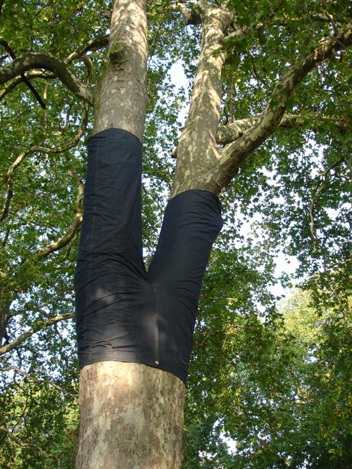 Peter Coffin. Untitled (Tree Pants), 2006. Copyright Linda Nylind, courtesy Frieze Art Fair.