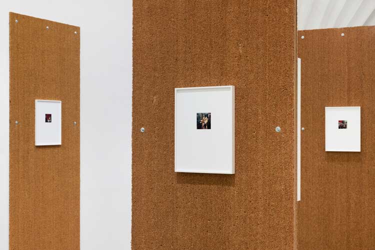 Luigi Ghirri: Polaroid ‘79–‘83, installation view, Centro per l'arte contemporanea Luigi Pecci, Prato, 2 November 2025 – 10 May 2026. Photo: Andrea Rossetti.