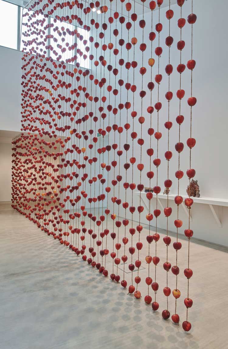 Anya Gallaccio. Falling from grace, 2000. 2,700 Gala apples, hop twine. Installation view, Anya Gallaccio: preserve, Turner Contemporary, 2024. © Anya Gallaccio. Courtesy the artist and Turner Contemporary. Photo: Jo Underhill.
