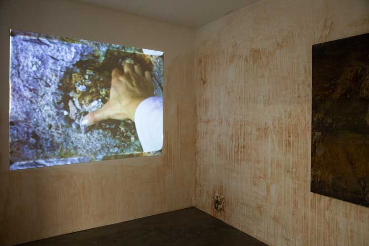 Olga Grotova: The Friendship Garden, installation view, Studio Voltaire, 20 May – 30 July 2023. Image courtesy the Artist. Photo: Zoë Maxwell.