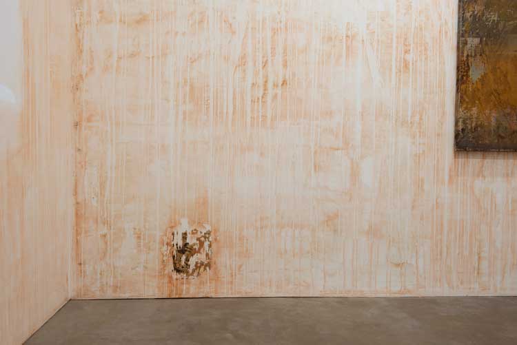 Olga Grotova: The Friendship Garden, installation view, Studio Voltaire, 20 May – 30 July 2023. Image courtesy the Artist. Photo: Zoë Maxwell.