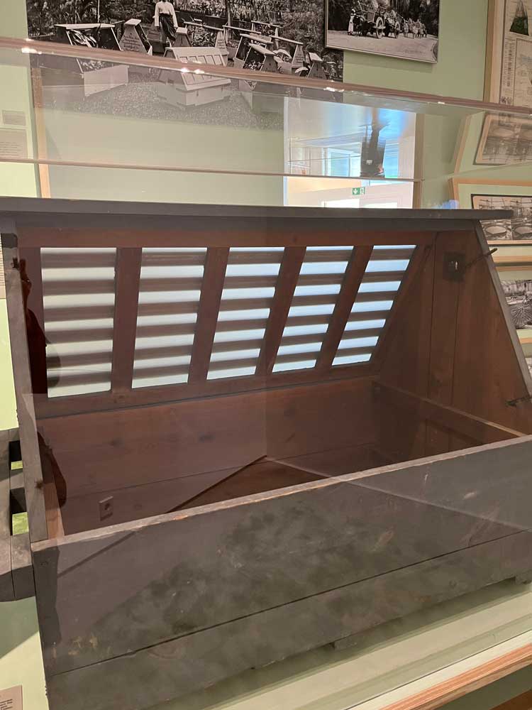Wardian case devised for transportation of live plants to and from the colonies by Nathaniel Bagshaw Ward. Photo: Veronica Simpson.