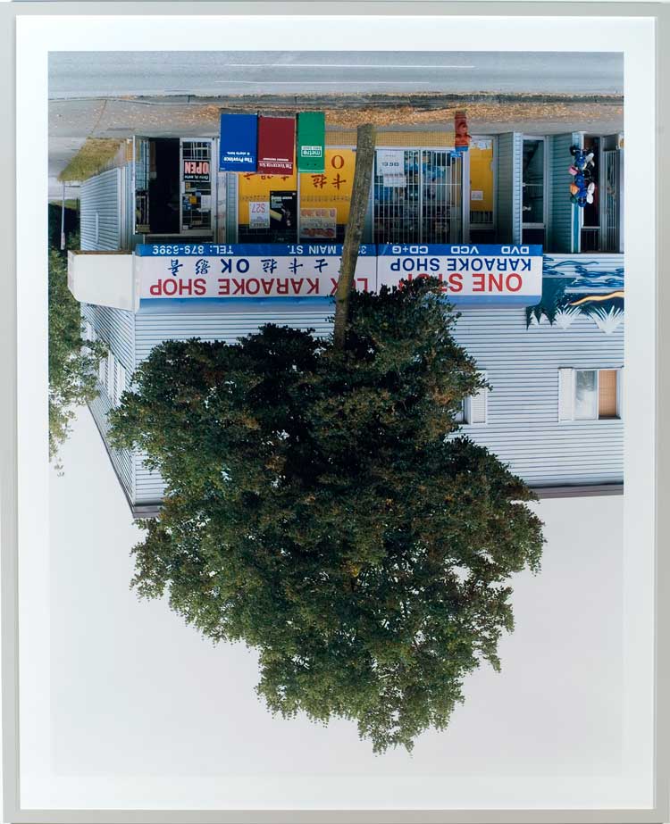 Rodney Graham, Main Street Tree, 2006. Chromogenic photograph, 228.6 x 185.4 x 5 cm (90 x 73 x 2 in). Photo: Tom Van Eynde. © Rodney Graham. Courtesy the artist and Hauser & Wirth.