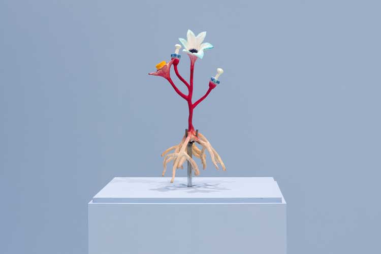 Kyriaki Goni, Data Garden, exhibition view, Blenheim Walk Gallery, Leeds Art Univerisity, 2023. Photo: Jules Lister.